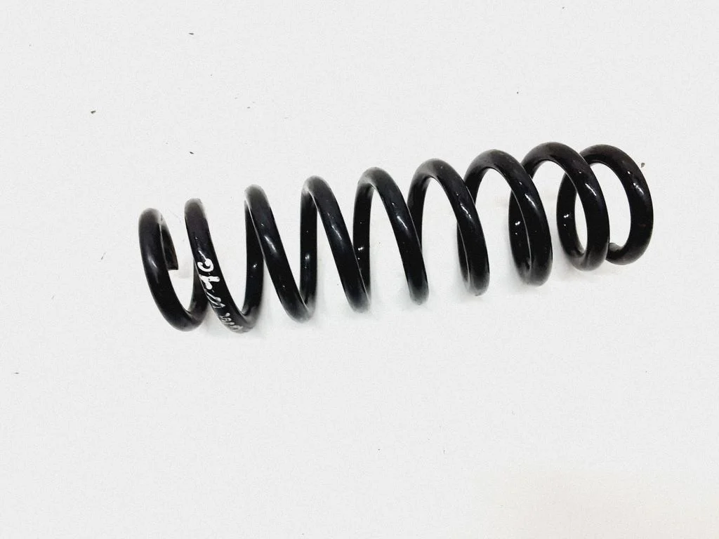 Rear coil spring
