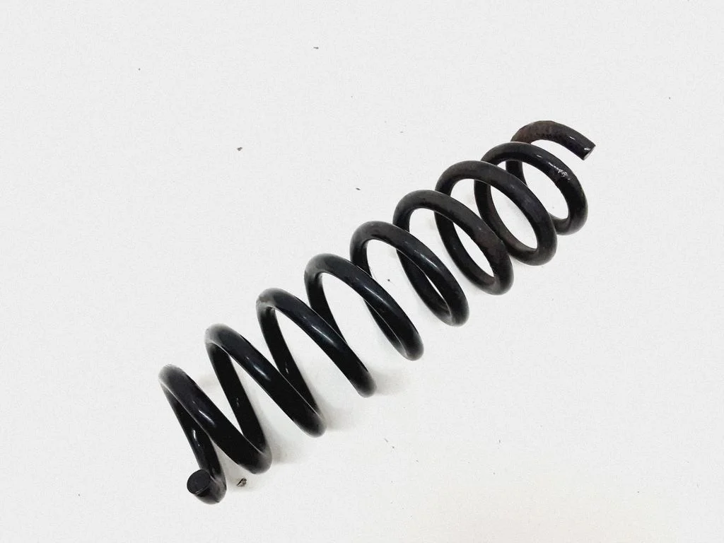 Rear coil spring