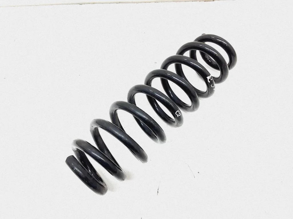 Rear coil spring