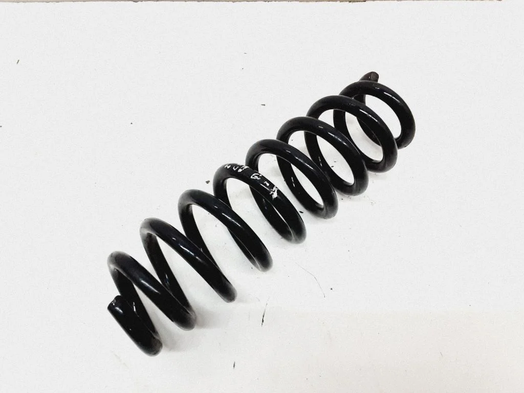 Rear coil spring
