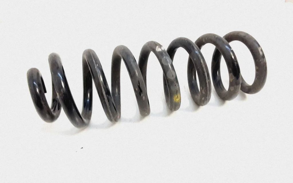 Rear coil spring