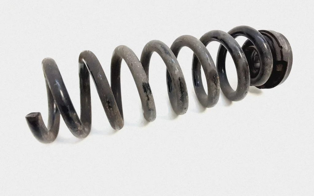 Rear coil spring