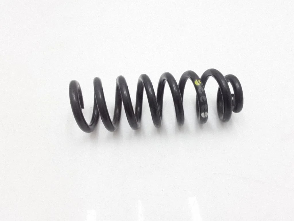 Rear coil spring