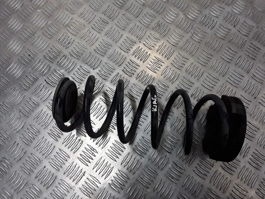 Rear coil spring