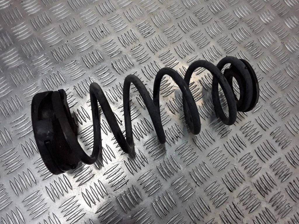 Rear coil spring