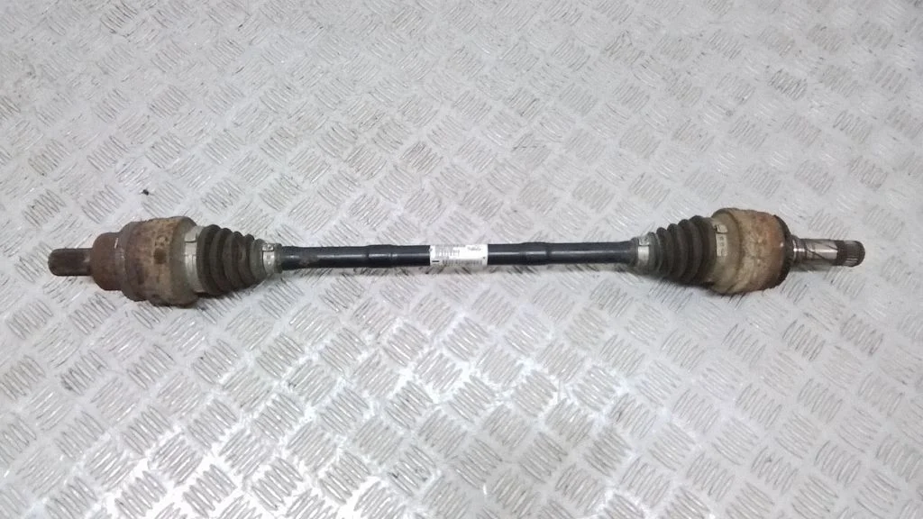 Aizmugurējā pusass 30681132