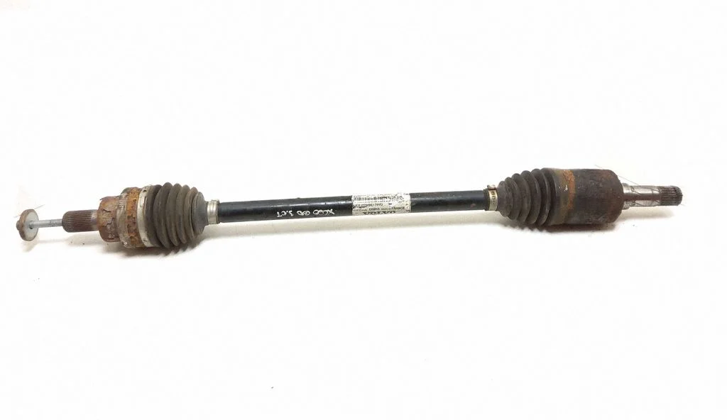 Aizmugurējā pusass 31259504