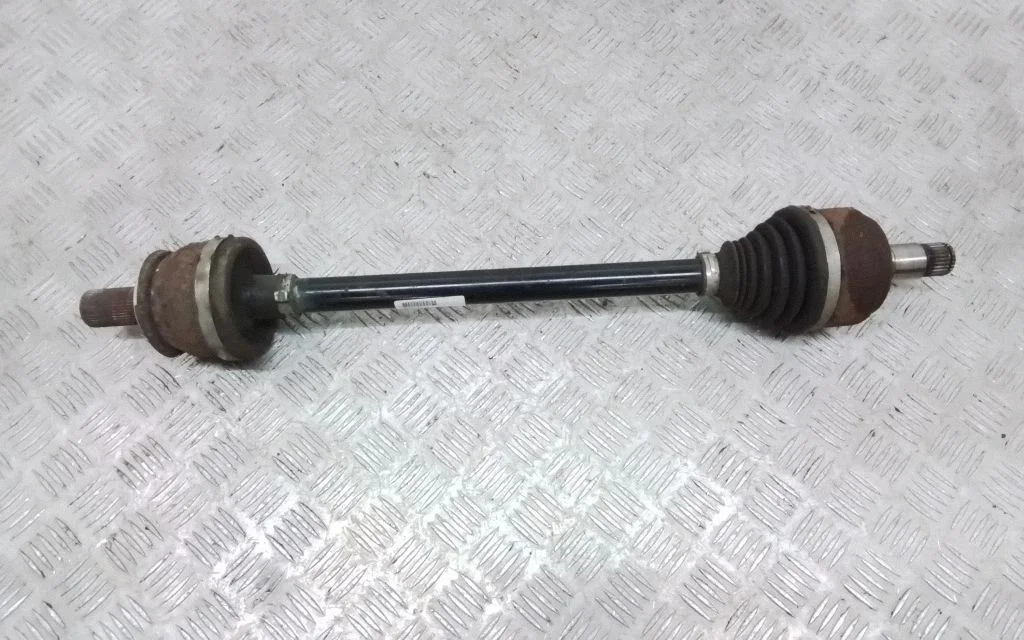 Aizmugurējā pusass 31492157