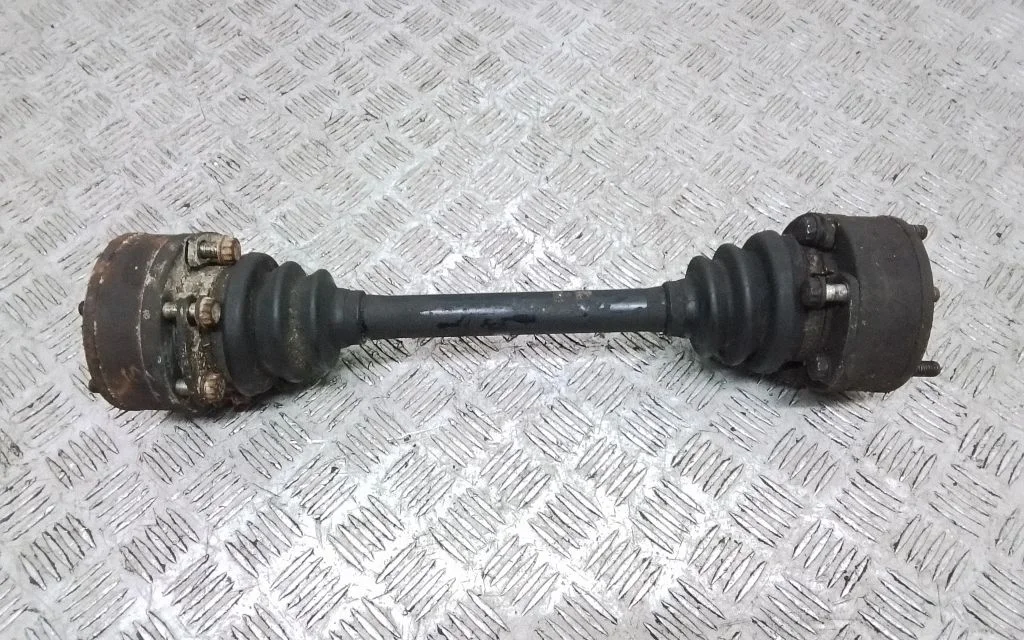 Aizmugurējā pusass