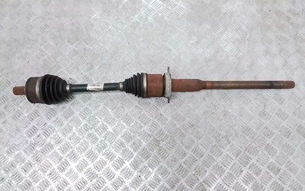 Priekšējā pusass 31437649