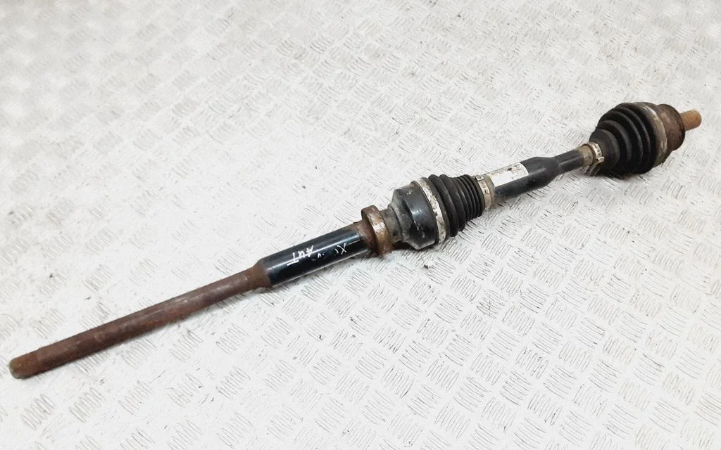 Priekšējā pusass 31272546