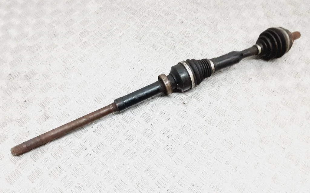 Priekšējā pusass 30783072