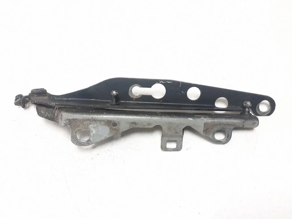Engine bonnet/hood hinges – front left