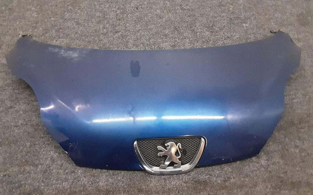 Engine bonnet/hood