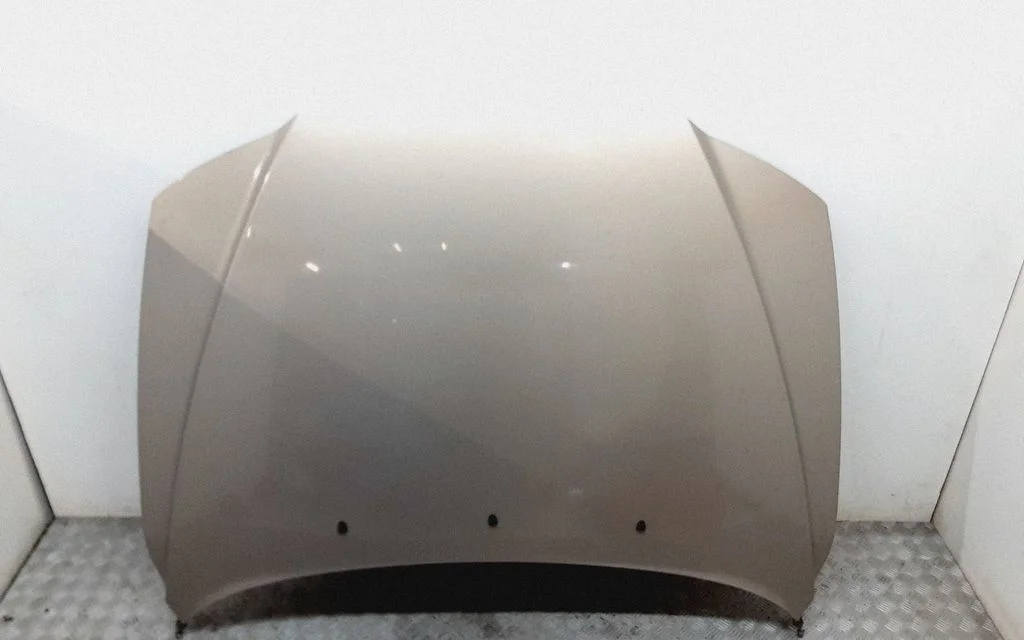 Engine bonnet/hood