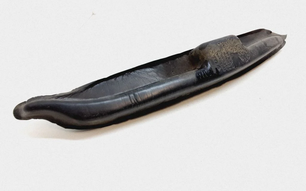 Fender foam support/seal – Volvo XC70 (2008-2013)