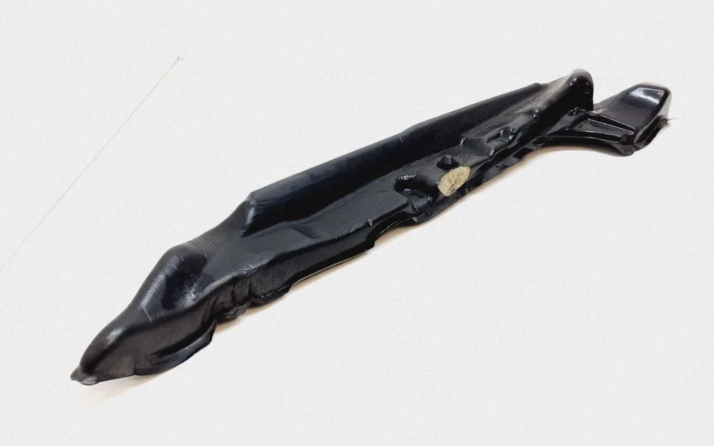 Fender foam support/seal 31265385
