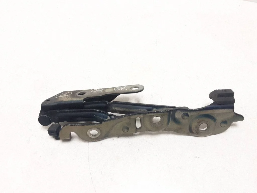 Tailgate/trunk/boot hinge – rear left