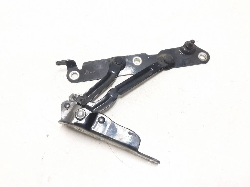 Tailgate/trunk/boot hinge – rear left