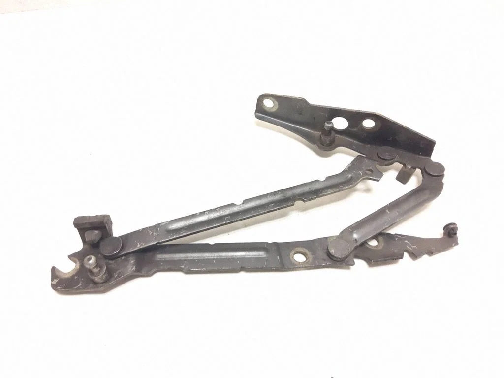 Tailgate/trunk/boot hinge – rear left
