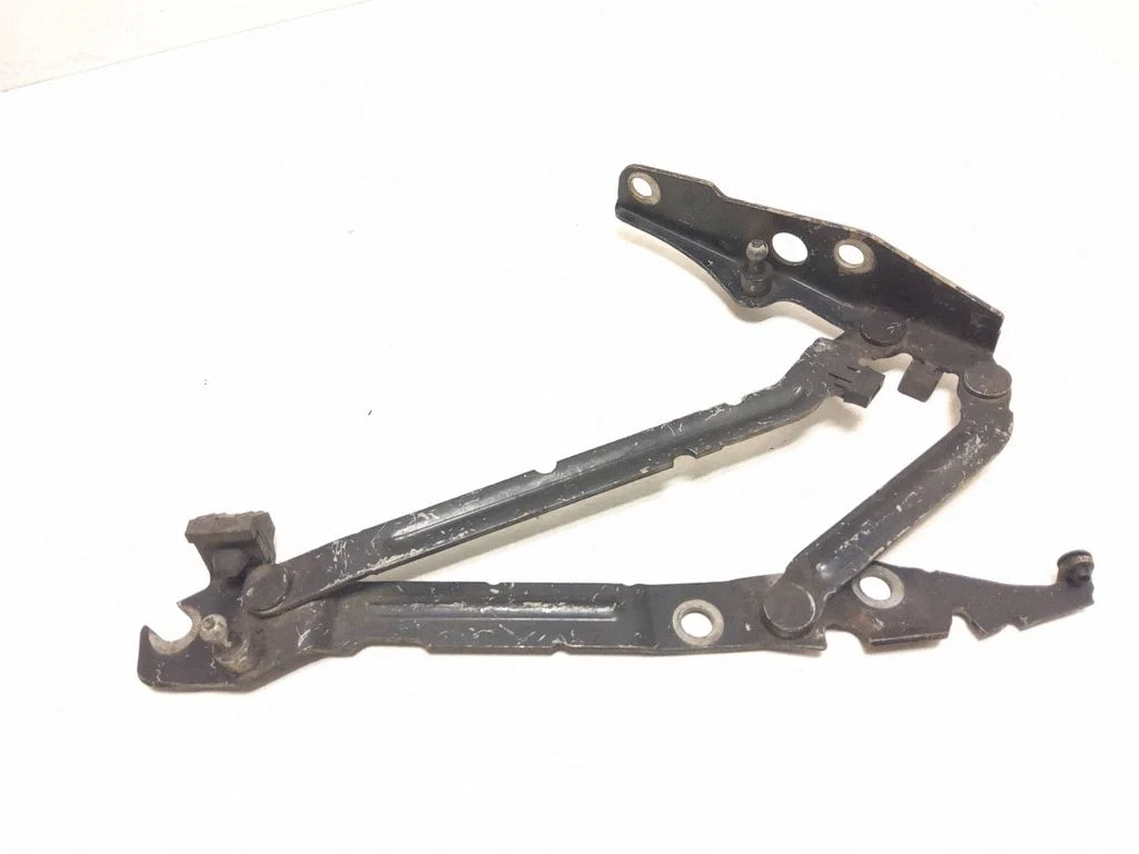 Tailgate/trunk/boot hinge – rear left