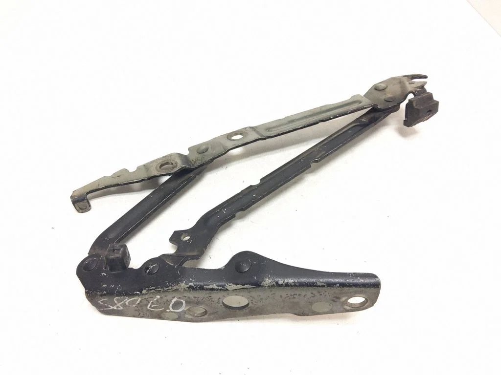 Tailgate/trunk/boot hinge – rear right