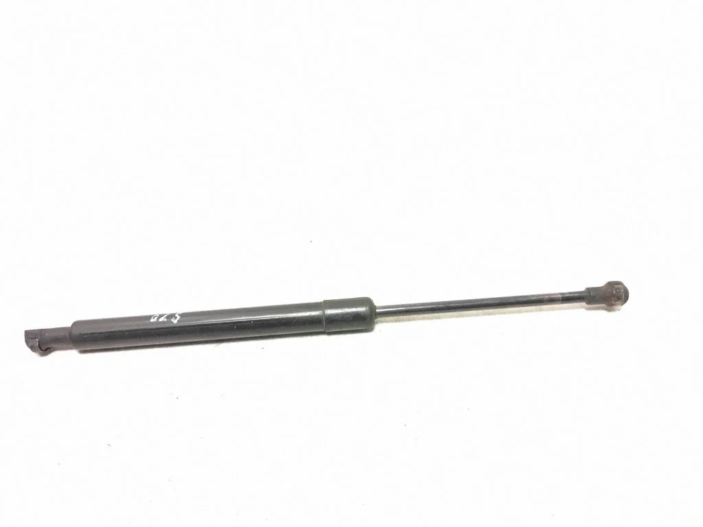 Tailgate/trunk strut/damper 9483297