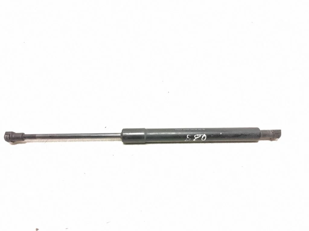 Tailgate/trunk strut/damper 9483297
