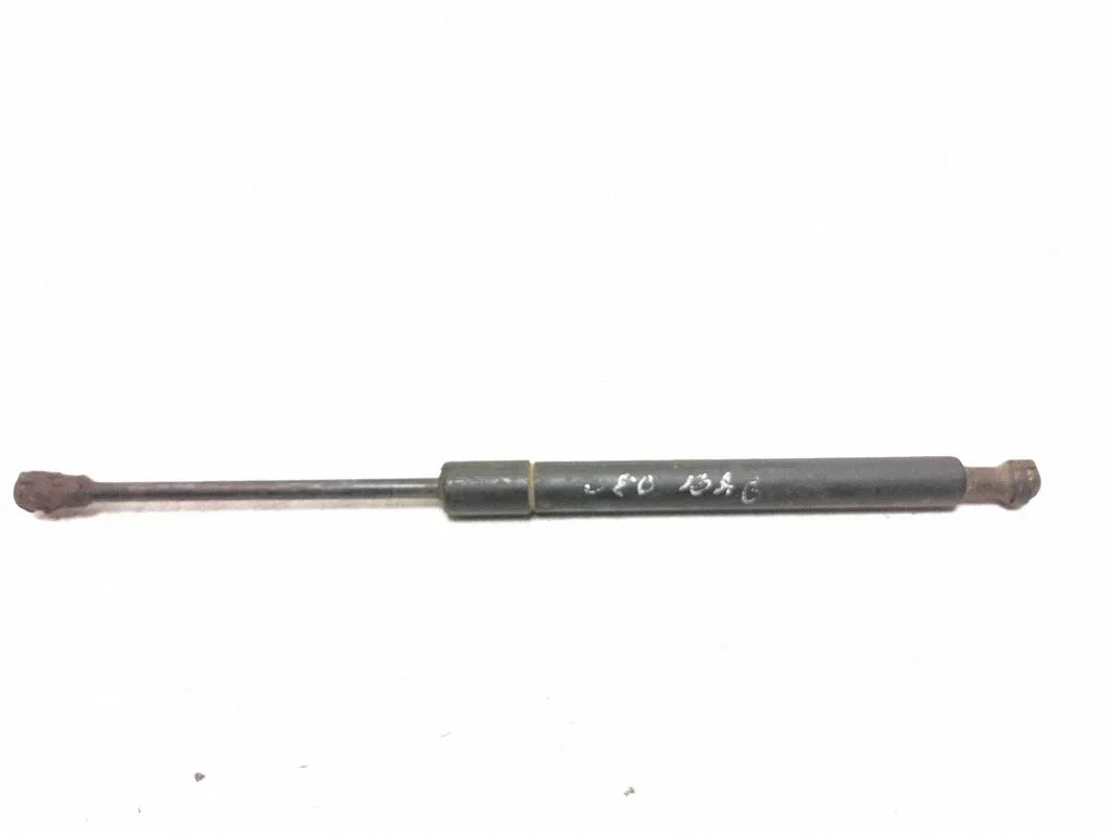 Tailgate/trunk strut/damper 9483297