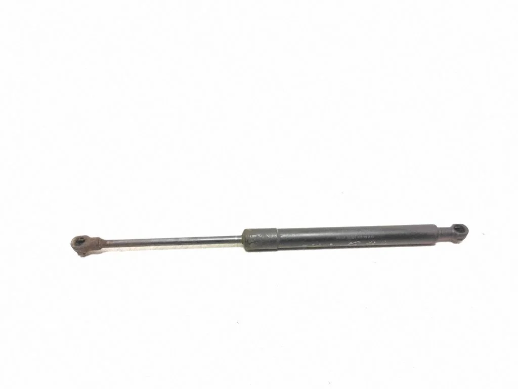 Tailgate/trunk strut/damper 9483297