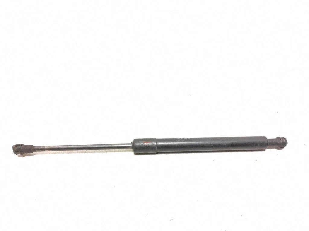 Tailgate/trunk strut/damper 9483297