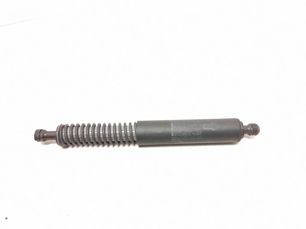 Tailgate/trunk strut/damper 31217640