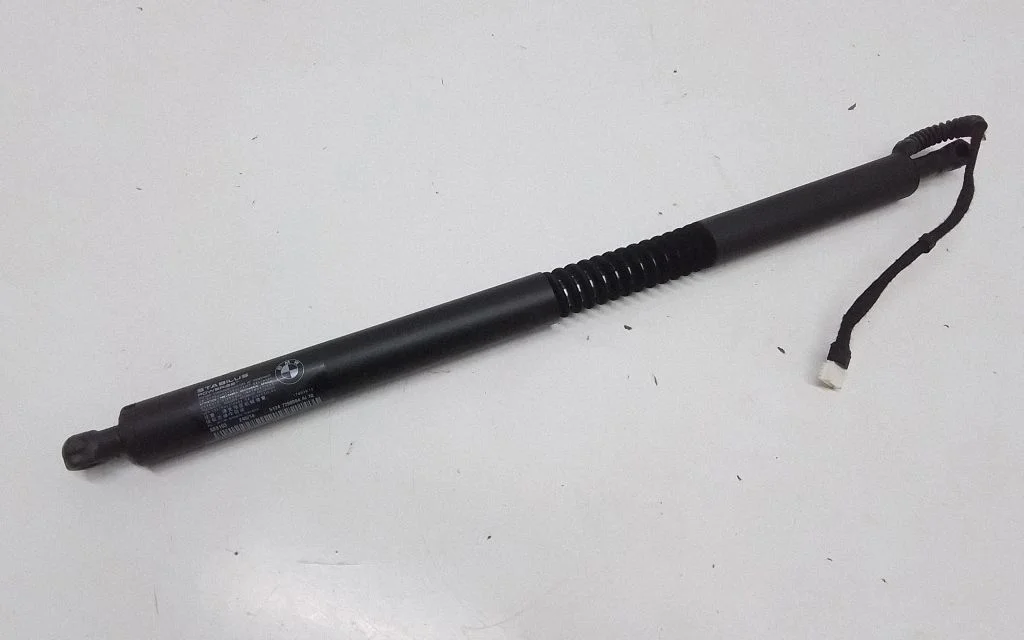 Tailgate/trunk strut/damper 7298984