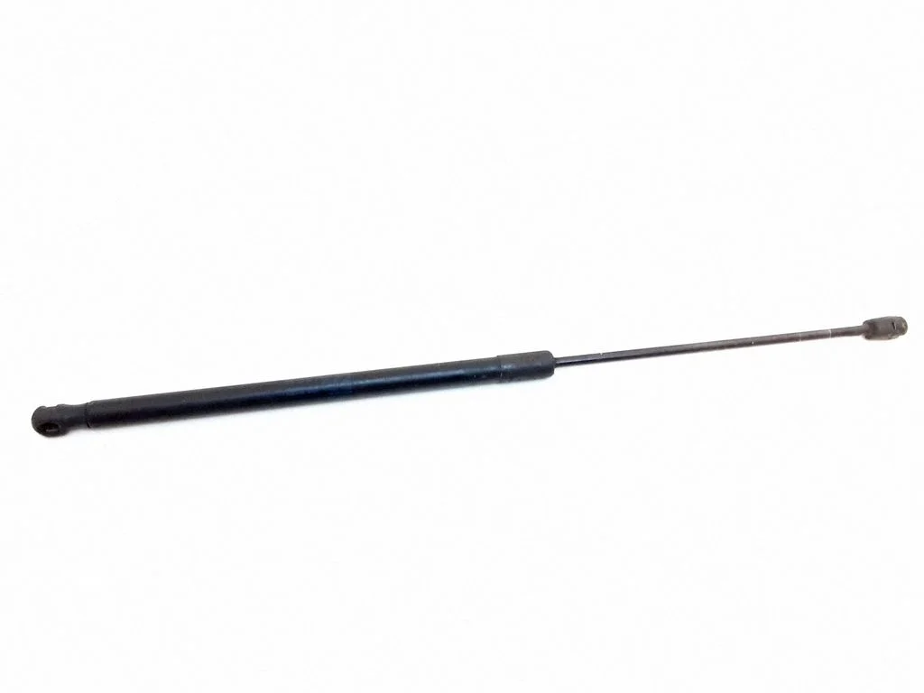 Tagaluugi gaasiamortisaator 1M6827550