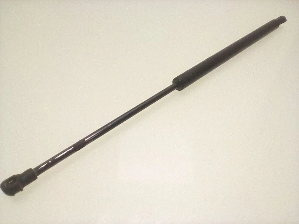 Tailgate/trunk strut/damper