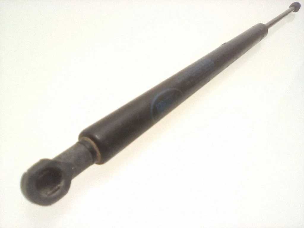 Tailgate/trunk strut/damper