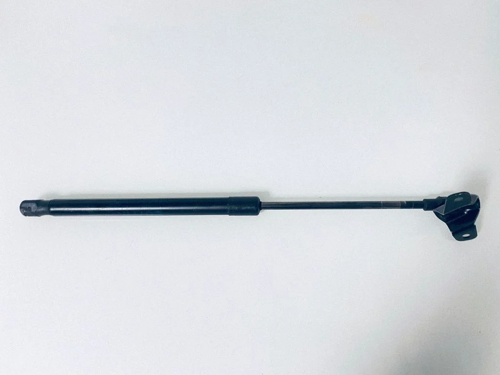 Tailgate/trunk strut/damper 7060622