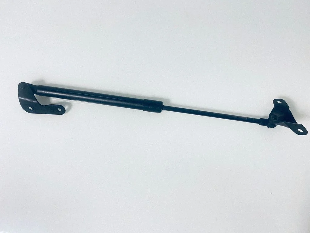 Tailgate/trunk strut/damper