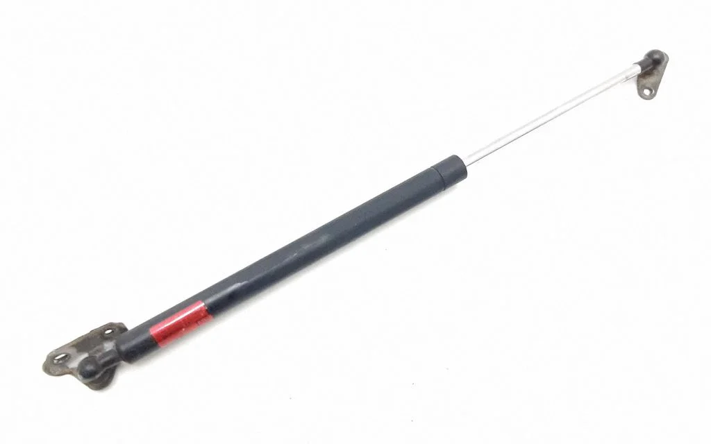Tailgate/trunk strut/damper – rear left