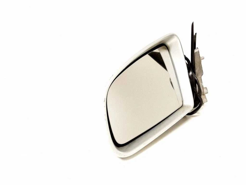 Front door electric wing mirror E1010681