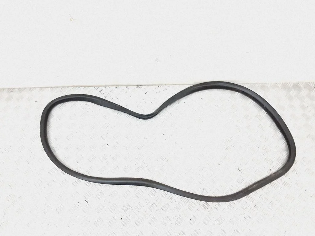 Rear door rubber seal (on body) – rear right
