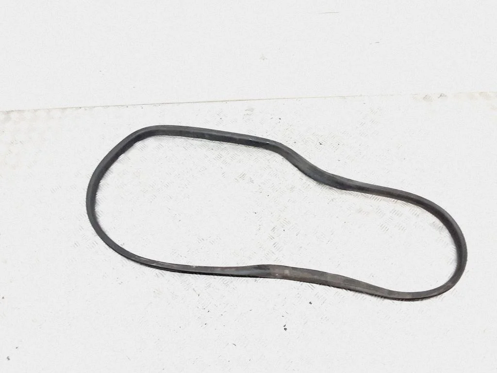 Rear door rubber seal (on body)