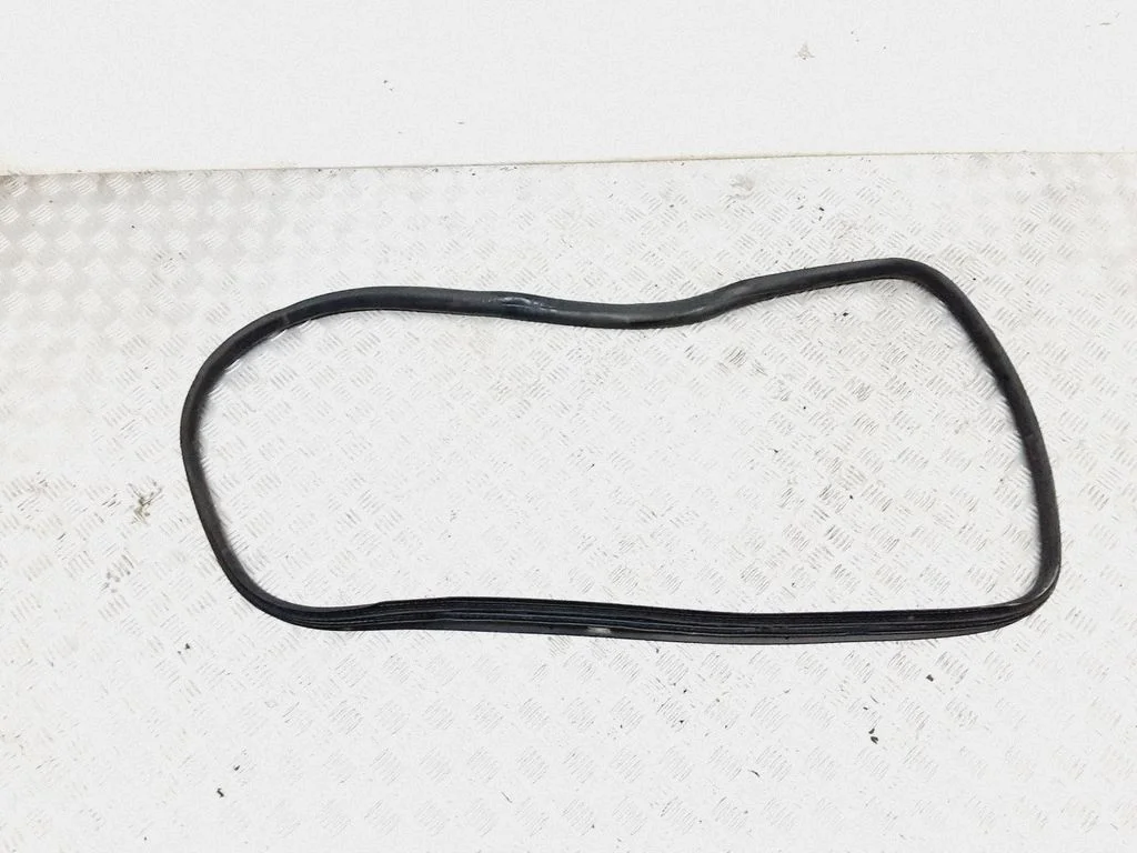 Rear door rubber seal (on body)