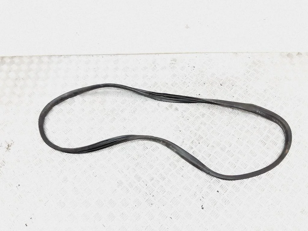 Rear door rubber seal (on body)