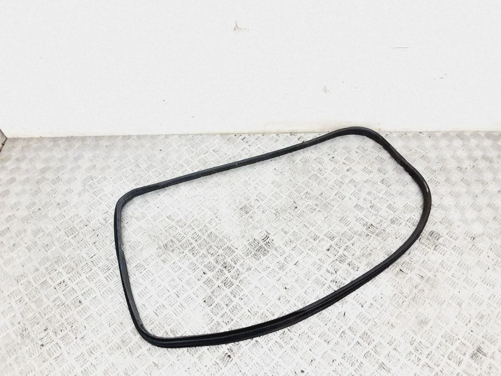 Rear door rubber seal (on body) – rear left