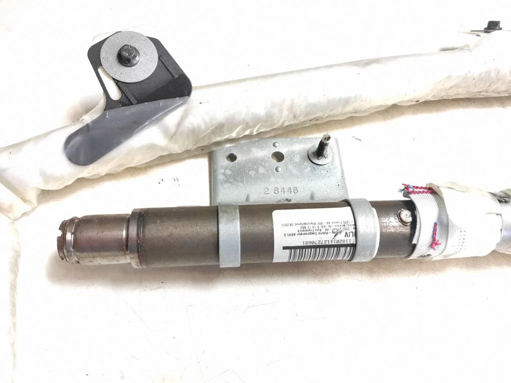 Roof airbag 31291248