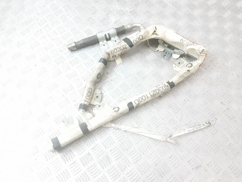 Katuse turvapadi (kardin) 603021100D
