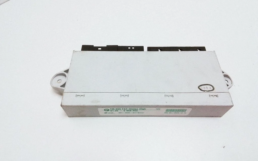 Door control unit/module 61356958453