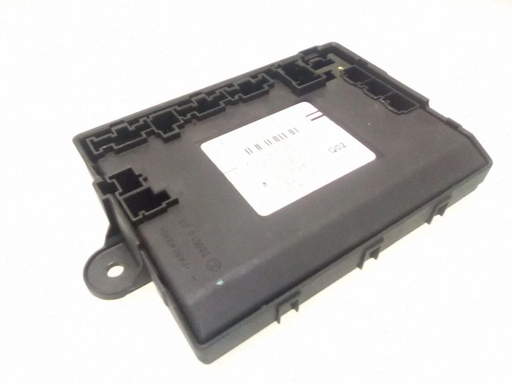 Door control unit/module – Mercedes-Benz S-Class W221 (2005-2013)