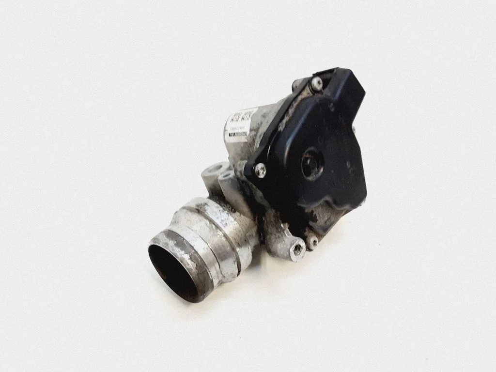 Throttle valve 161A09794R